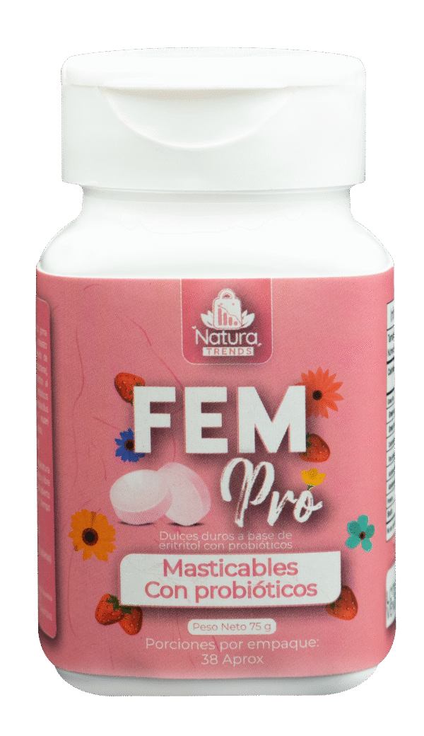 FEM Pro (unidad)